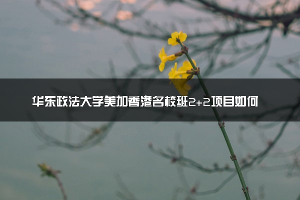 华东政法大学美加香港名校班2+2项目如何申请
