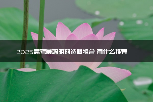 2025高考最聪明的选科组合 有什么推荐
