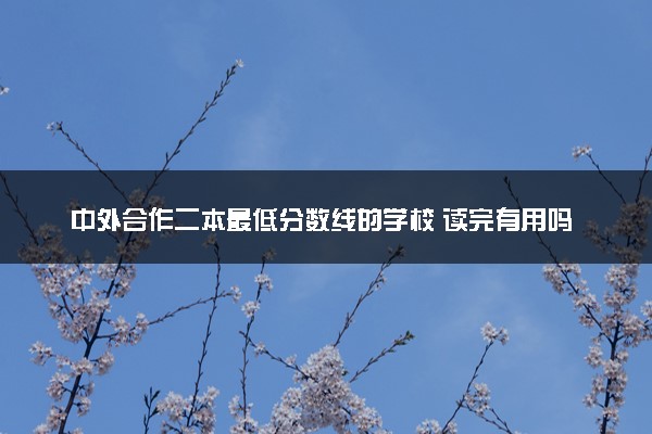 中外合作二本最低分数线的学校 读完有用吗