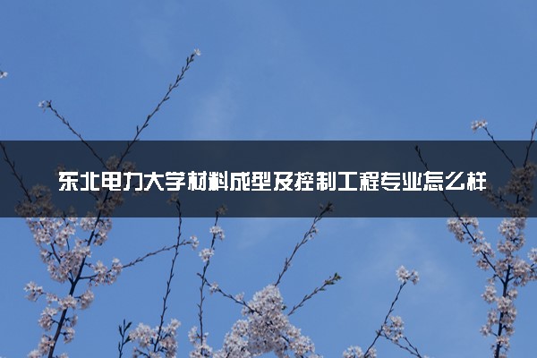 东北电力大学材料成型及控制工程专业怎么样 录取分数线多少