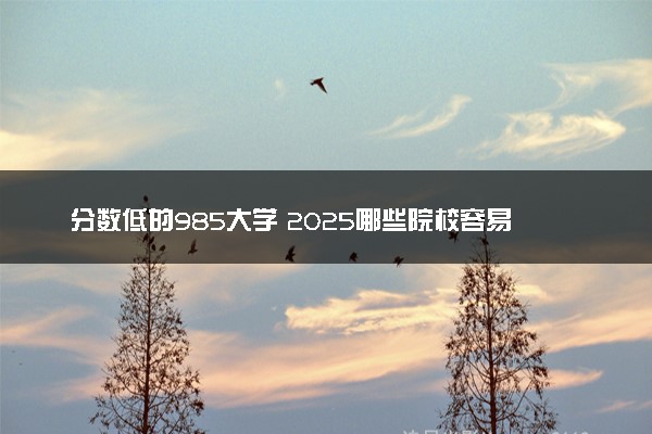 分数低的985大学 2025哪些院校容易捡漏