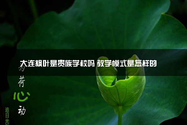 大连枫叶是贵族学校吗 教学模式是怎样的