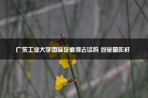 广东工业大学国际班值得去读吗 含金量咋样