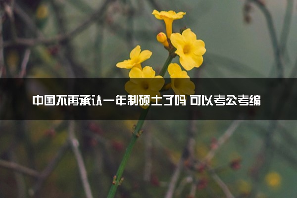 中国不再承认一年制硕士了吗 可以考公考编吗