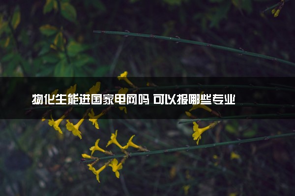 物化生能进国家电网吗 可以报哪些专业