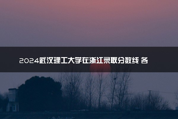 2024武汉理工大学在浙江录取分数线 各专业分数及位次