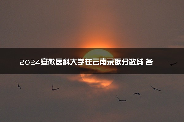 2024安徽医科大学在云南录取分数线 各专业分数及位次