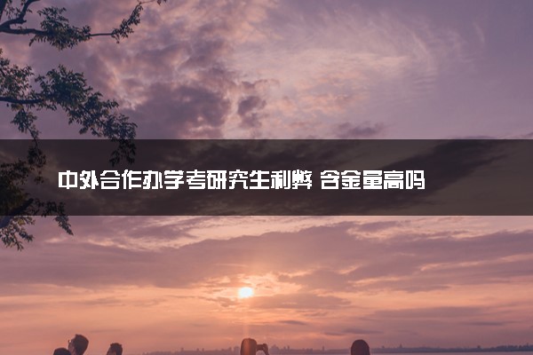 中外合作办学考研究生利弊 含金量高吗