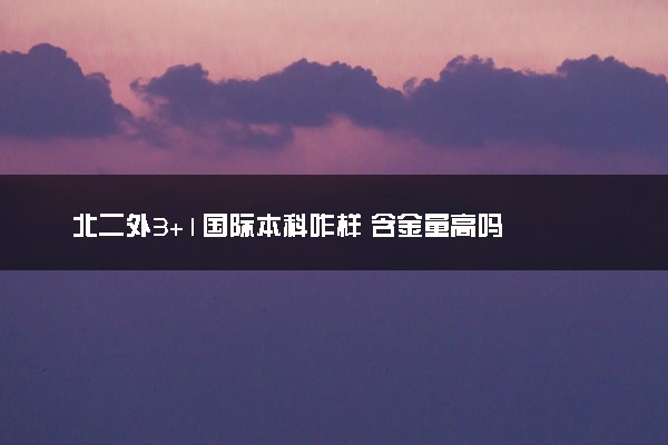 北二外3+1国际本科咋样 含金量高吗