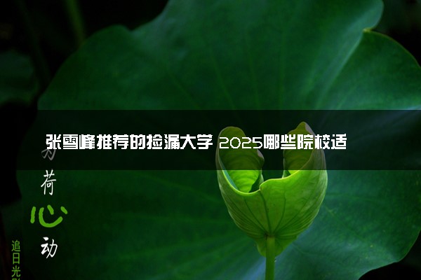 张雪峰推荐的捡漏大学 2025哪些院校适合低分报考