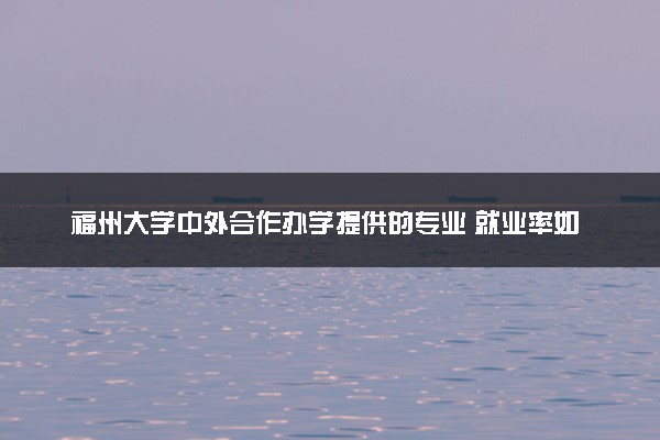 福州大学中外合作办学提供的专业 就业率如何