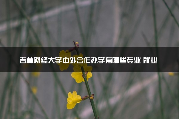 吉林财经大学中外合作办学有哪些专业 就业率如何