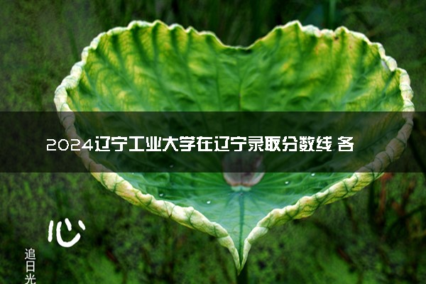 2024辽宁工业大学在辽宁录取分数线 各专业分数及位次