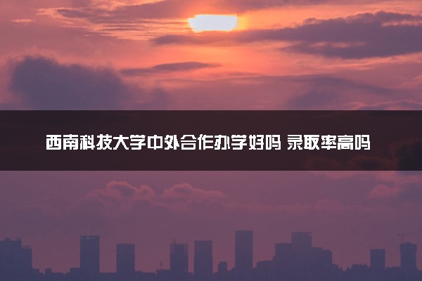 西南科技大学中外合作办学好吗 录取率高吗