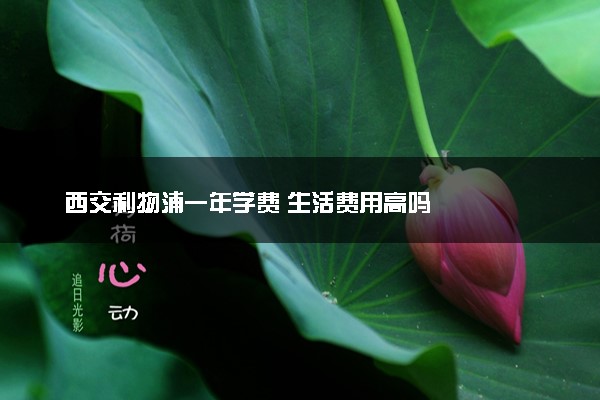 西交利物浦一年学费 生活费用高吗