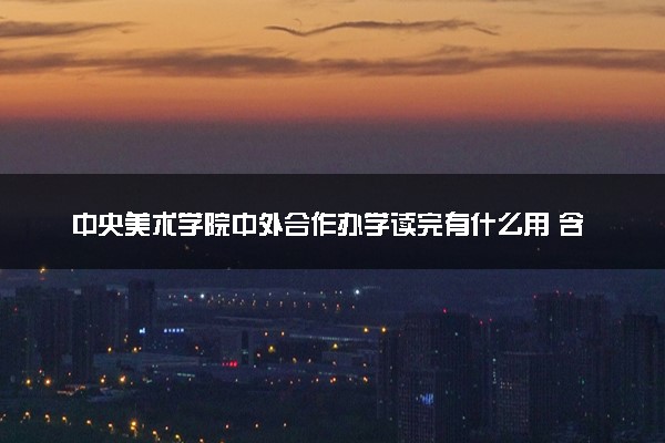 中央美术学院中外合作办学读完有什么用 含金量高吗
