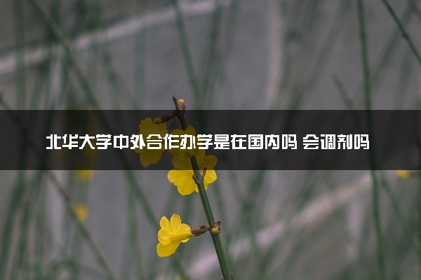 北华大学中外合作办学是在国内吗 会调剂吗