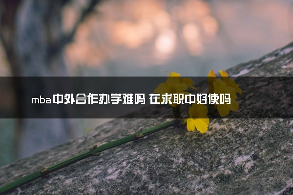 mba中外合作办学难吗 在求职中好使吗