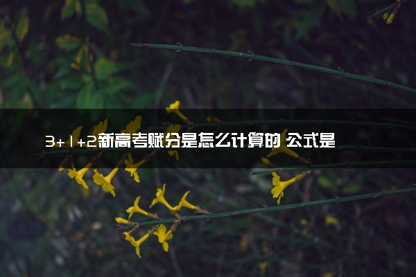 3+1+2新高考赋分是怎么计算的 公式是什么