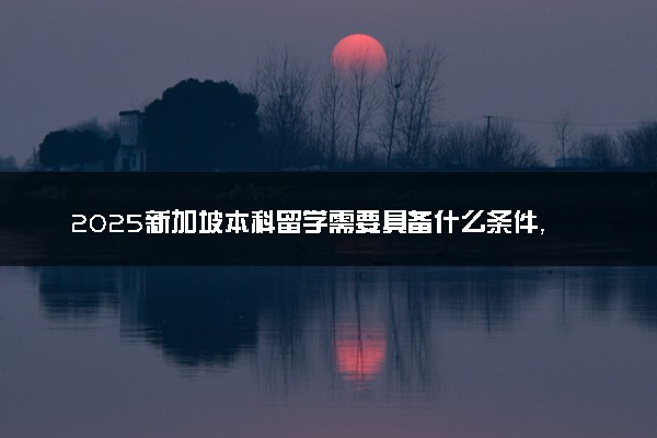 2025新加坡本科留学需要具备什么条件，要高考成绩吗？