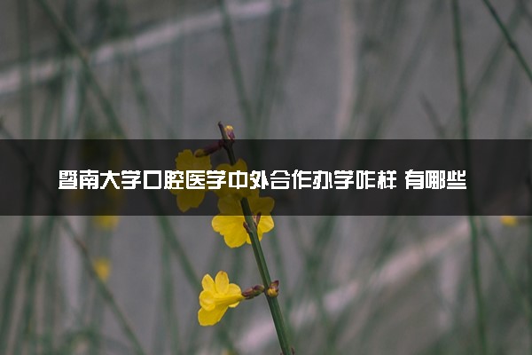 暨南大学口腔医学中外合作办学咋样 有哪些优势