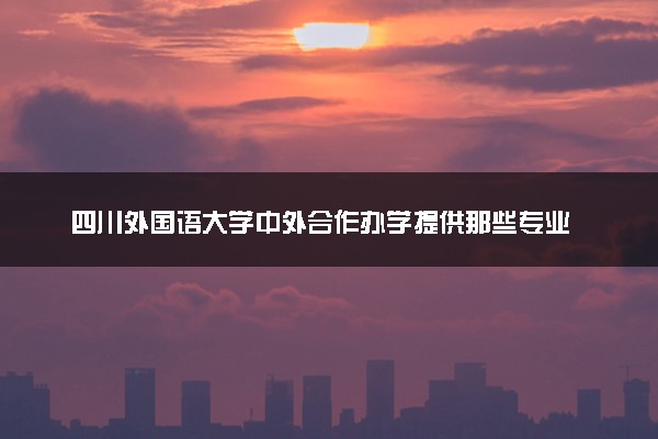 四川外国语大学中外合作办学提供那些专业 值得读吗