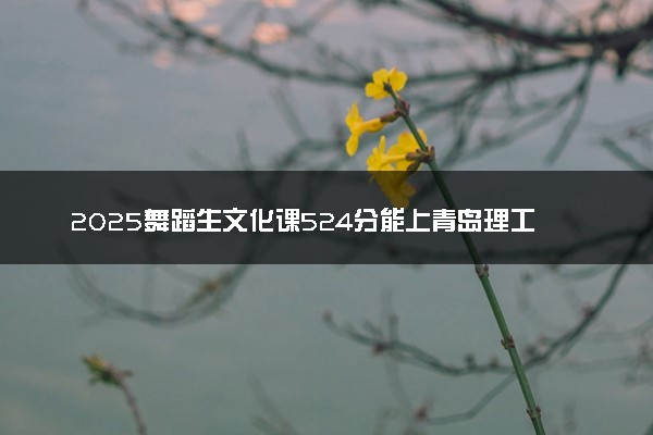 2025舞蹈生文化课524分能上青岛理工大学吗