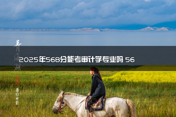 2025年568分能考审计学专业吗 568分审计学专业大学推荐