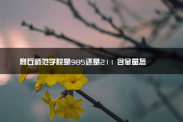 商丘师范学院是985还是211 含金量怎么样