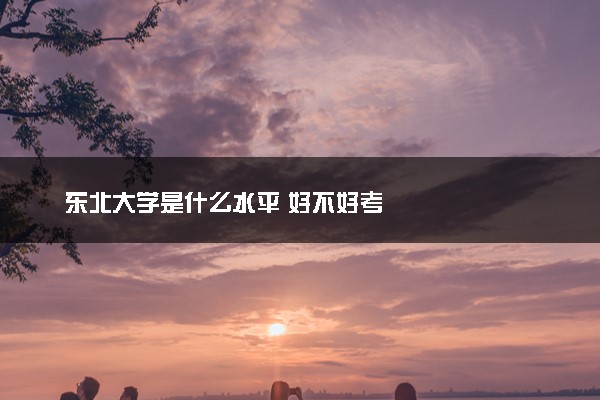 东北大学是什么水平 好不好考