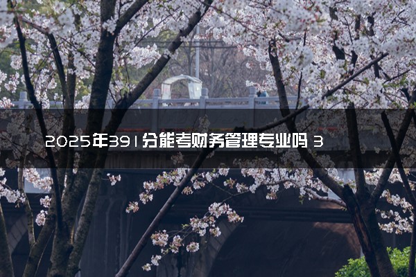 2025年391分能考财务管理专业吗 391分财务管理专业大学推荐