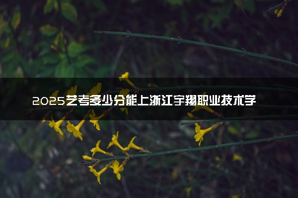 2025艺考多少分能上浙江宇翔职业技术学院 最低分数线是多少