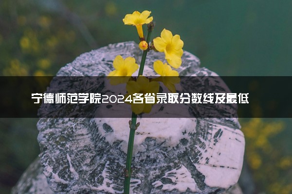 宁德师范学院2024各省录取分数线及最低位次是多少