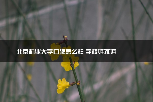 北京林业大学口碑怎么样 学校好不好