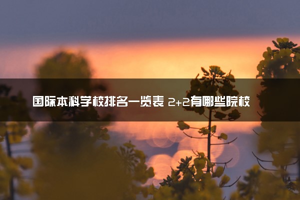 国际本科学校排名一览表 2+2有哪些院校