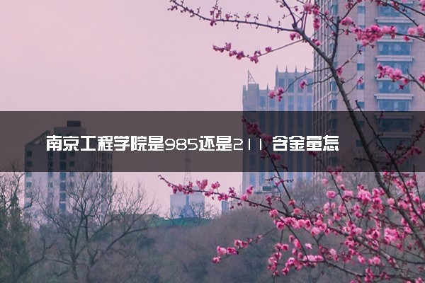 南京工程学院是985还是211 含金量怎么样