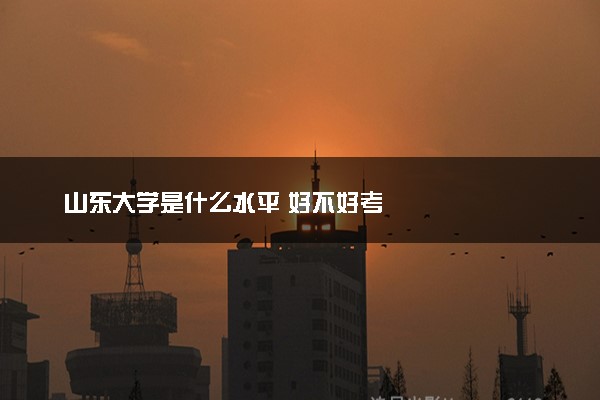 山东大学是什么水平 好不好考