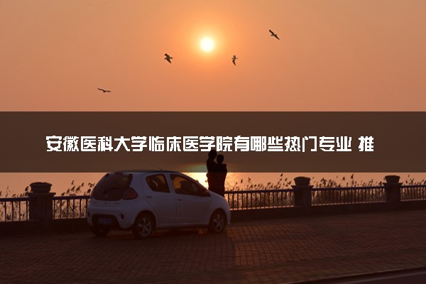 安徽医科大学临床医学院有哪些热门专业 推荐的王牌专业