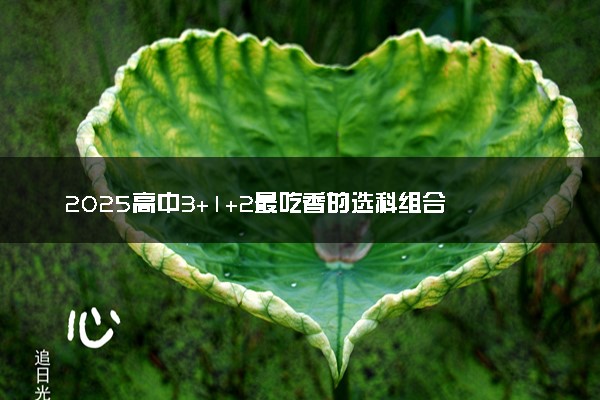 2025高中3+1+2最吃香的选科组合 有什么推荐