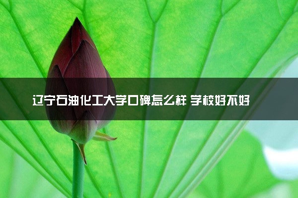 辽宁石油化工大学口碑怎么样 学校好不好