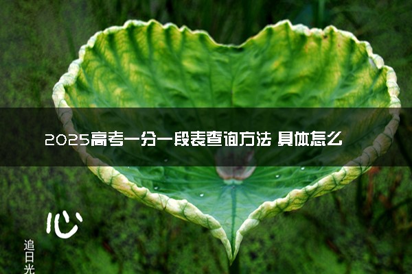 2025高考一分一段表查询方法 具体怎么查询