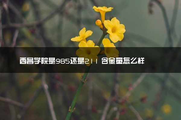 西昌学院是985还是211 含金量怎么样
