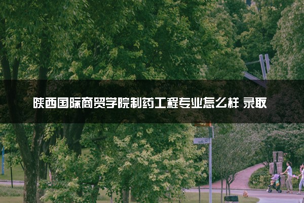 陕西国际商贸学院制药工程专业怎么样 录取分数线多少