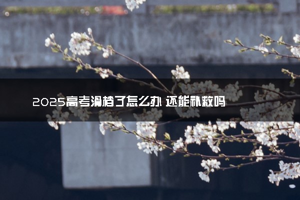 2025高考滑档了怎么办 还能补救吗
