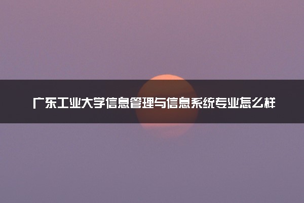 广东工业大学信息管理与信息系统专业怎么样 录取分数线多少