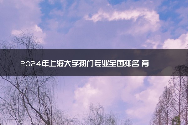 2024年上海大学热门专业全国排名 有