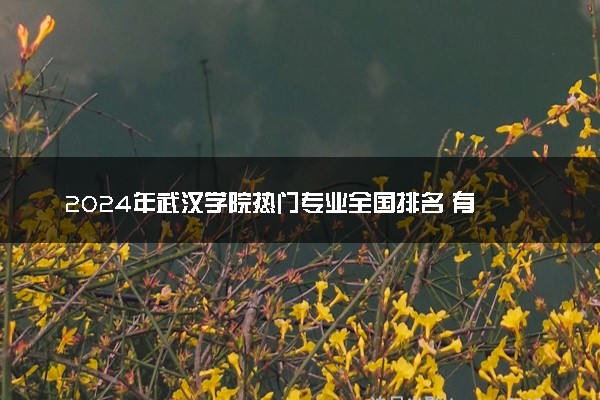 2024年武汉学院热门专业全国排名 有