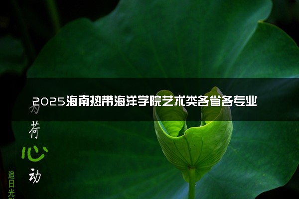 2025海南热带海洋学院艺术类各省各专业录取分数线汇总