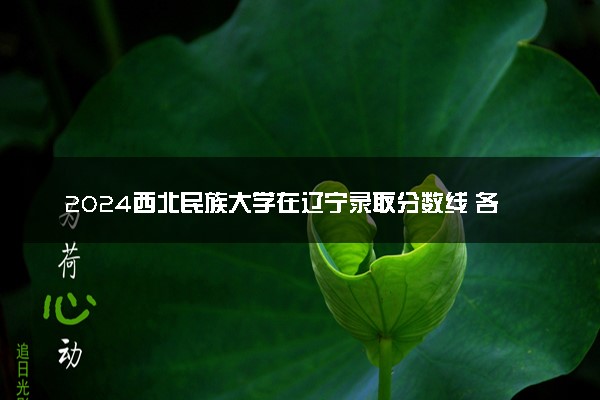 2024西北民族大学在辽宁录取分数线 各专业分数及位次