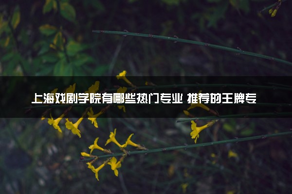 上海戏剧学院有哪些热门专业 推荐的王牌专业